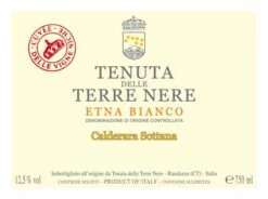 Terre Nere 'Calderara Sottana' Etna Bianco 2022